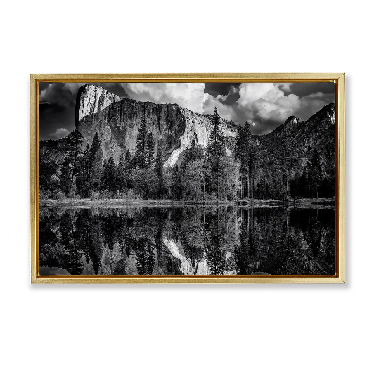 Stupell Industries Forest Trees Lake Reflection Framed Floater Canvas Wall Art Design by Rick Berk